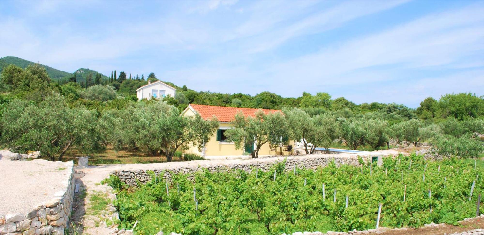 Вілла Vineyard House & Olive Grove House Рачище Екстер'єр фото
