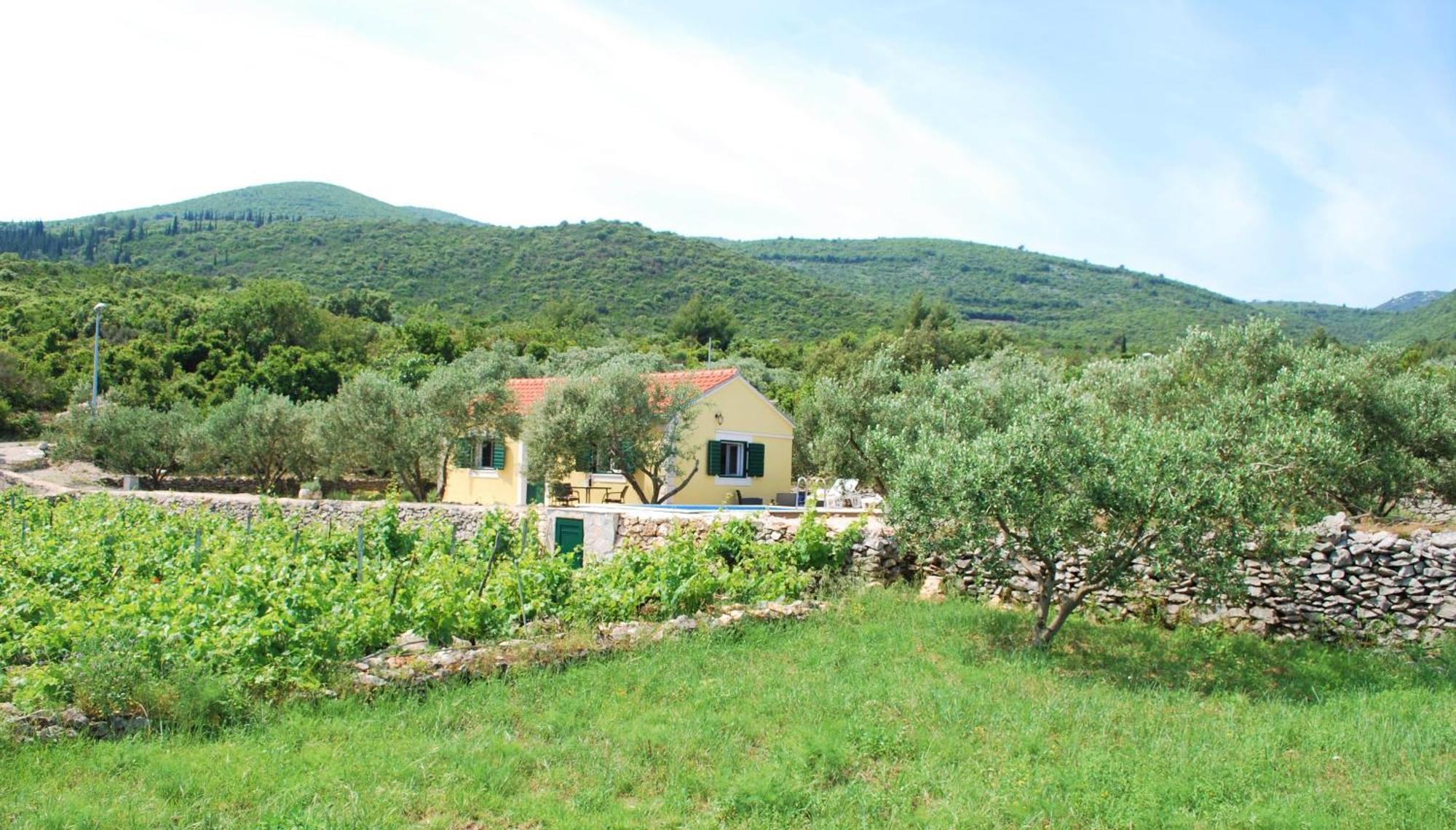 Вілла Vineyard House & Olive Grove House Рачище Екстер'єр фото