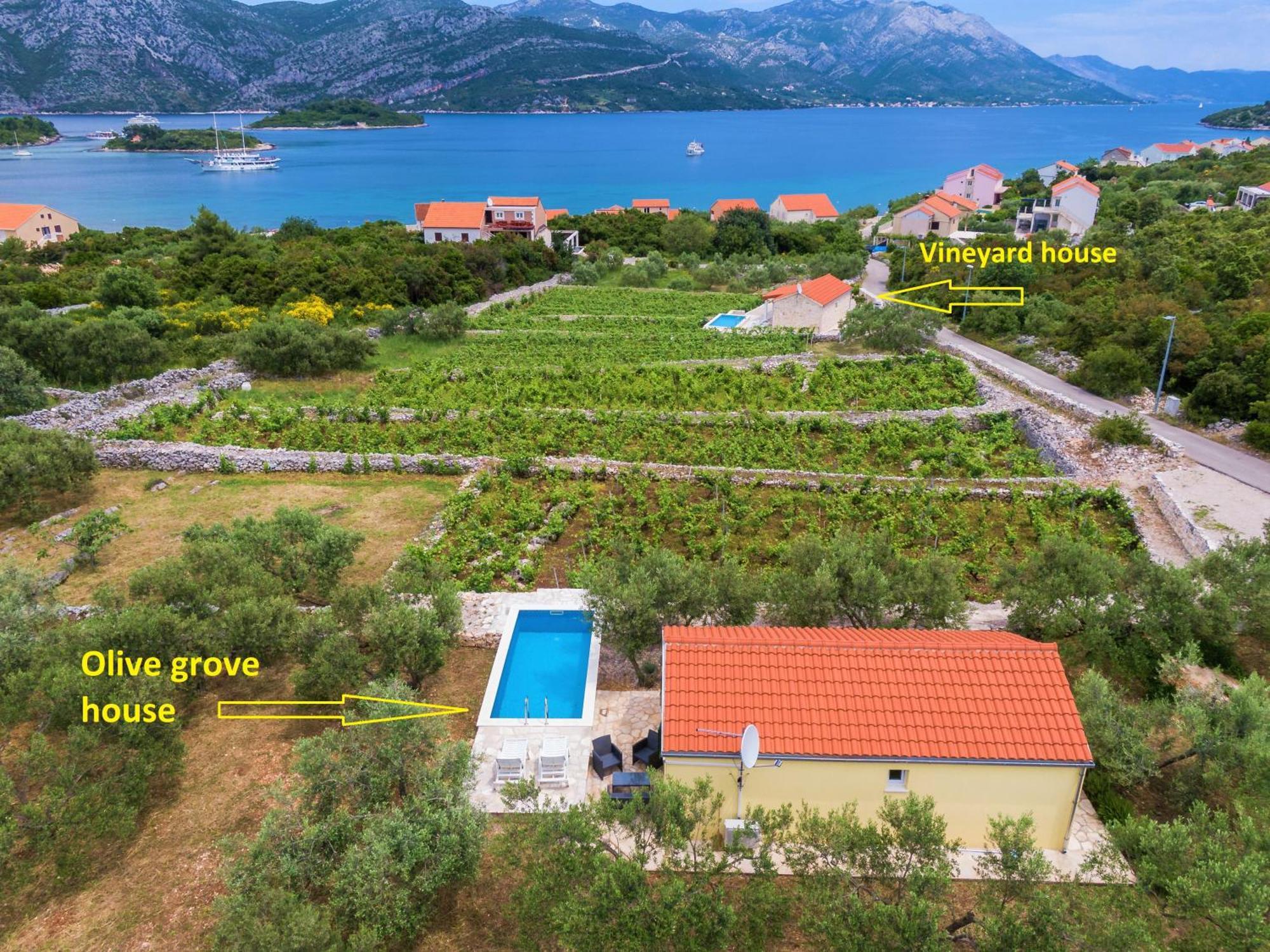 Вілла Vineyard House & Olive Grove House Рачище Екстер'єр фото