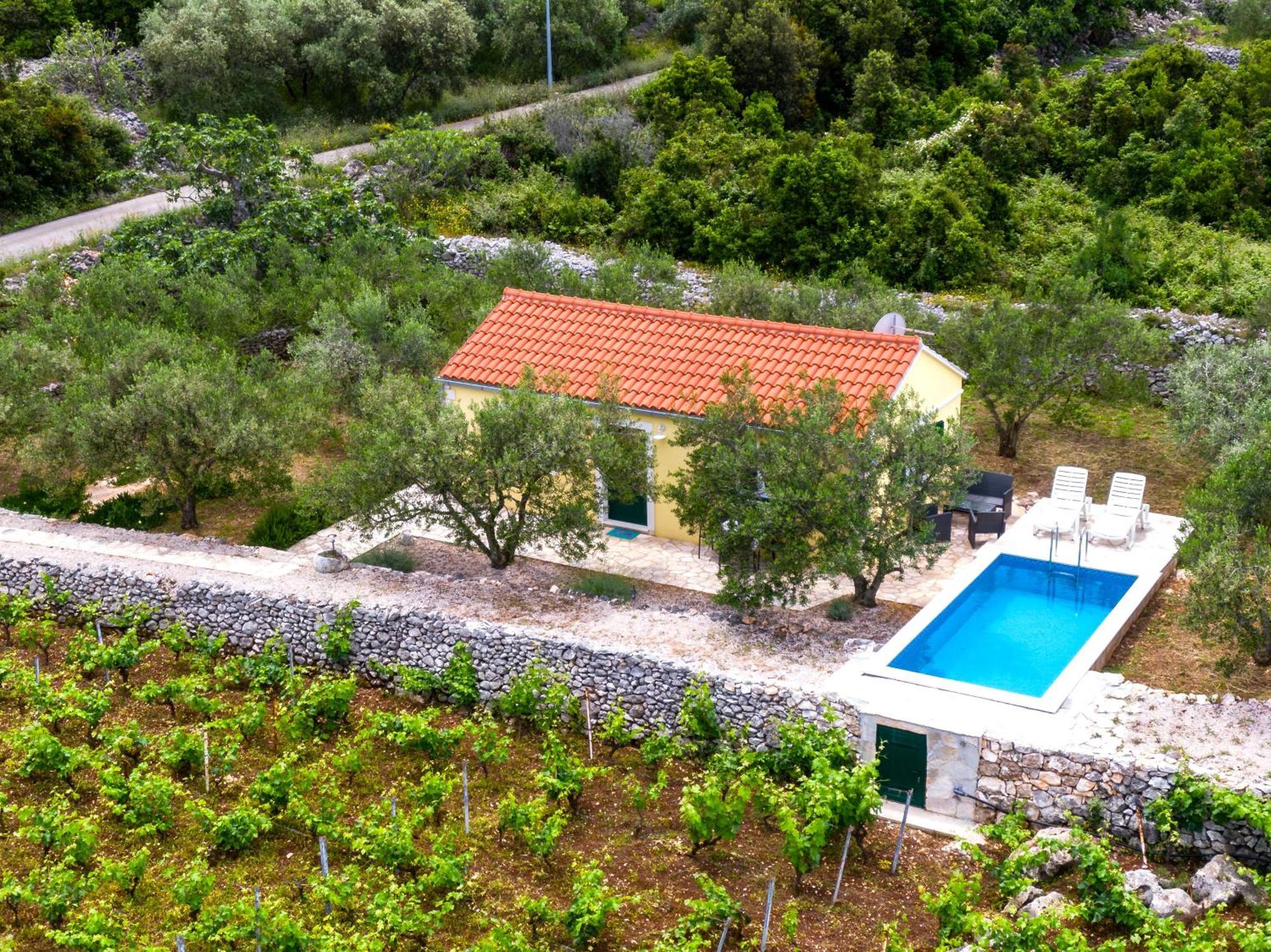 Вілла Vineyard House & Olive Grove House Рачище Екстер'єр фото