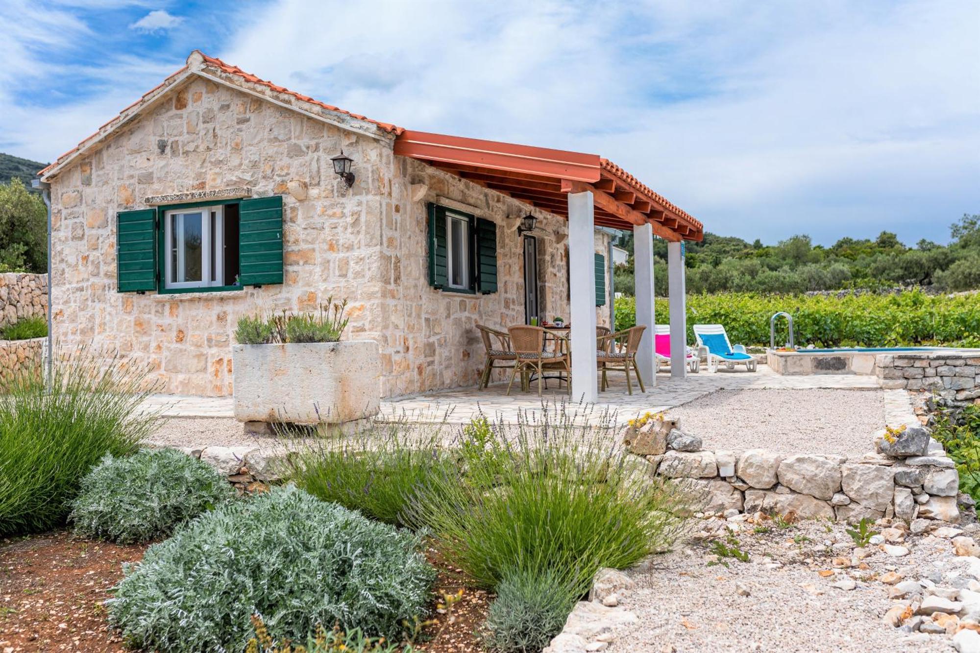 Вілла Vineyard House & Olive Grove House Рачище Екстер'єр фото