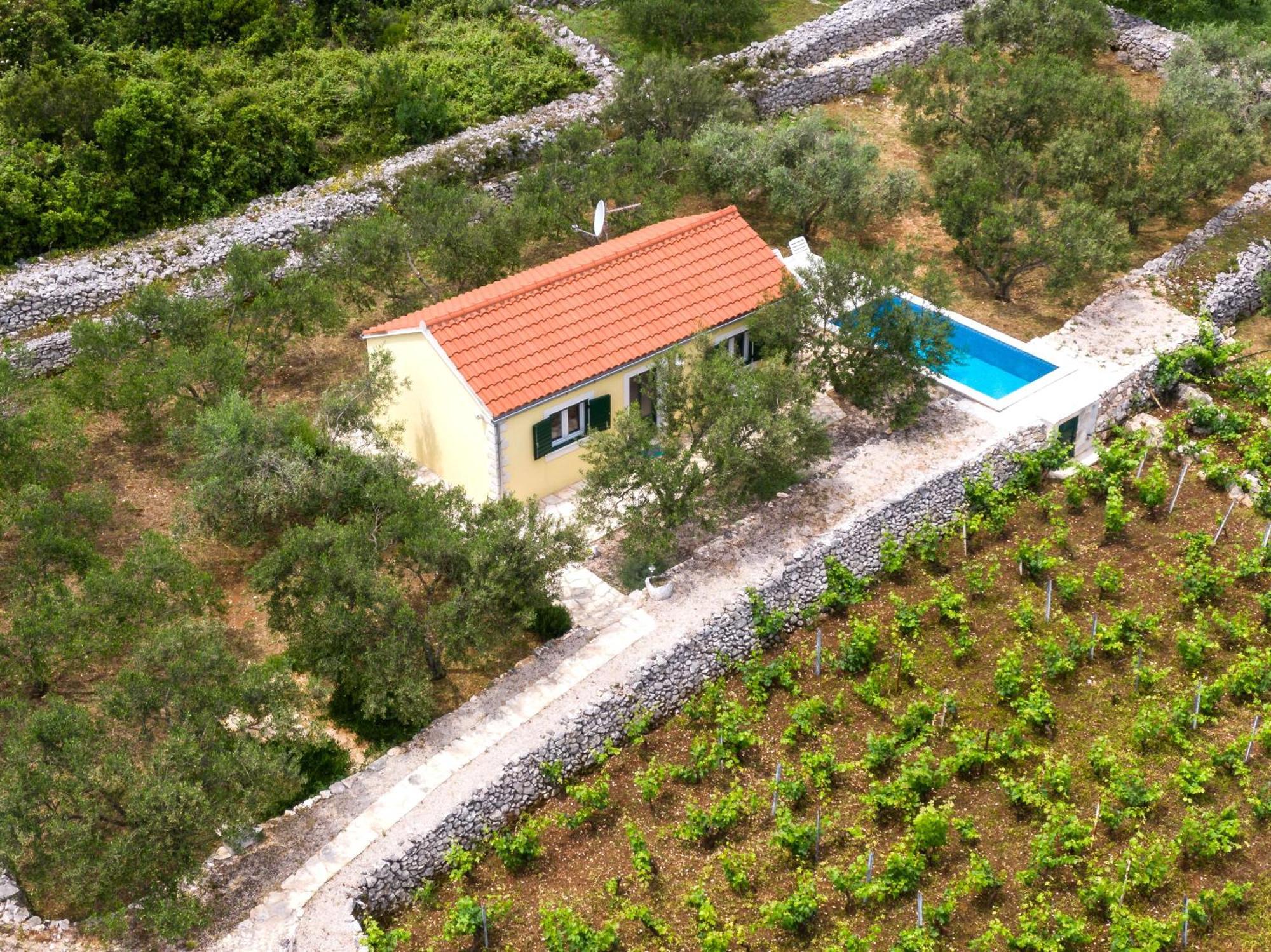 Вілла Vineyard House & Olive Grove House Рачище Екстер'єр фото