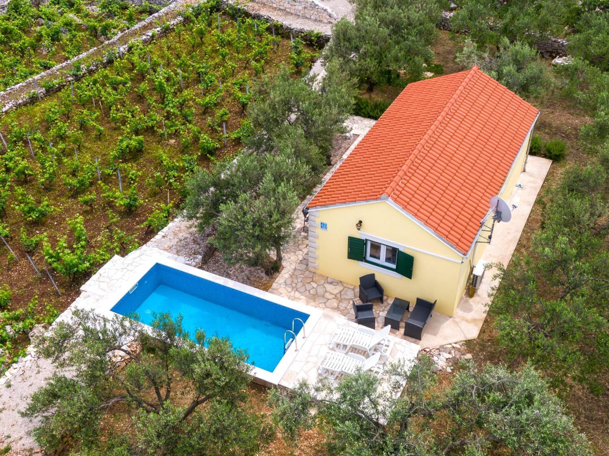 Вілла Vineyard House & Olive Grove House Рачище Екстер'єр фото