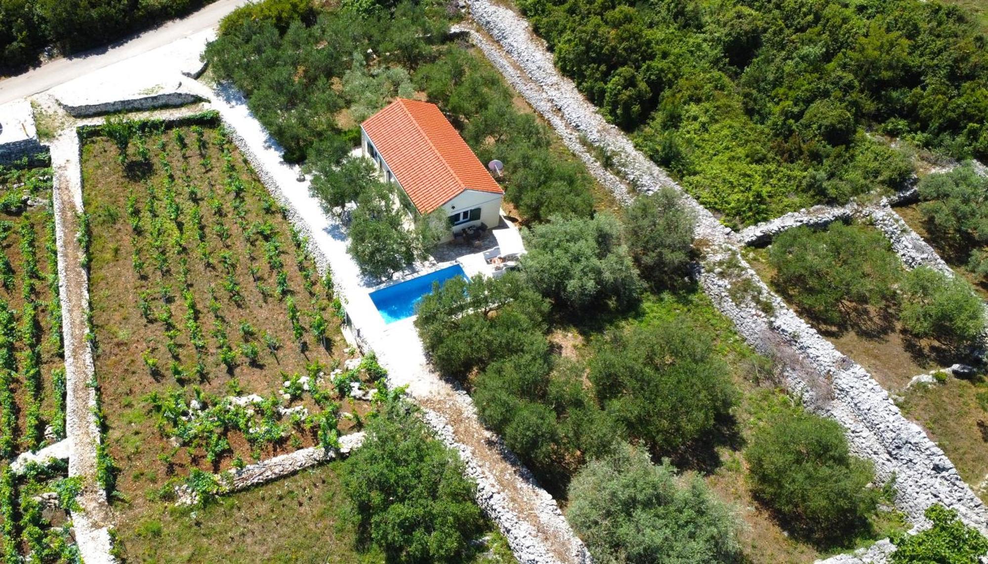 Вілла Vineyard House & Olive Grove House Рачище Екстер'єр фото
