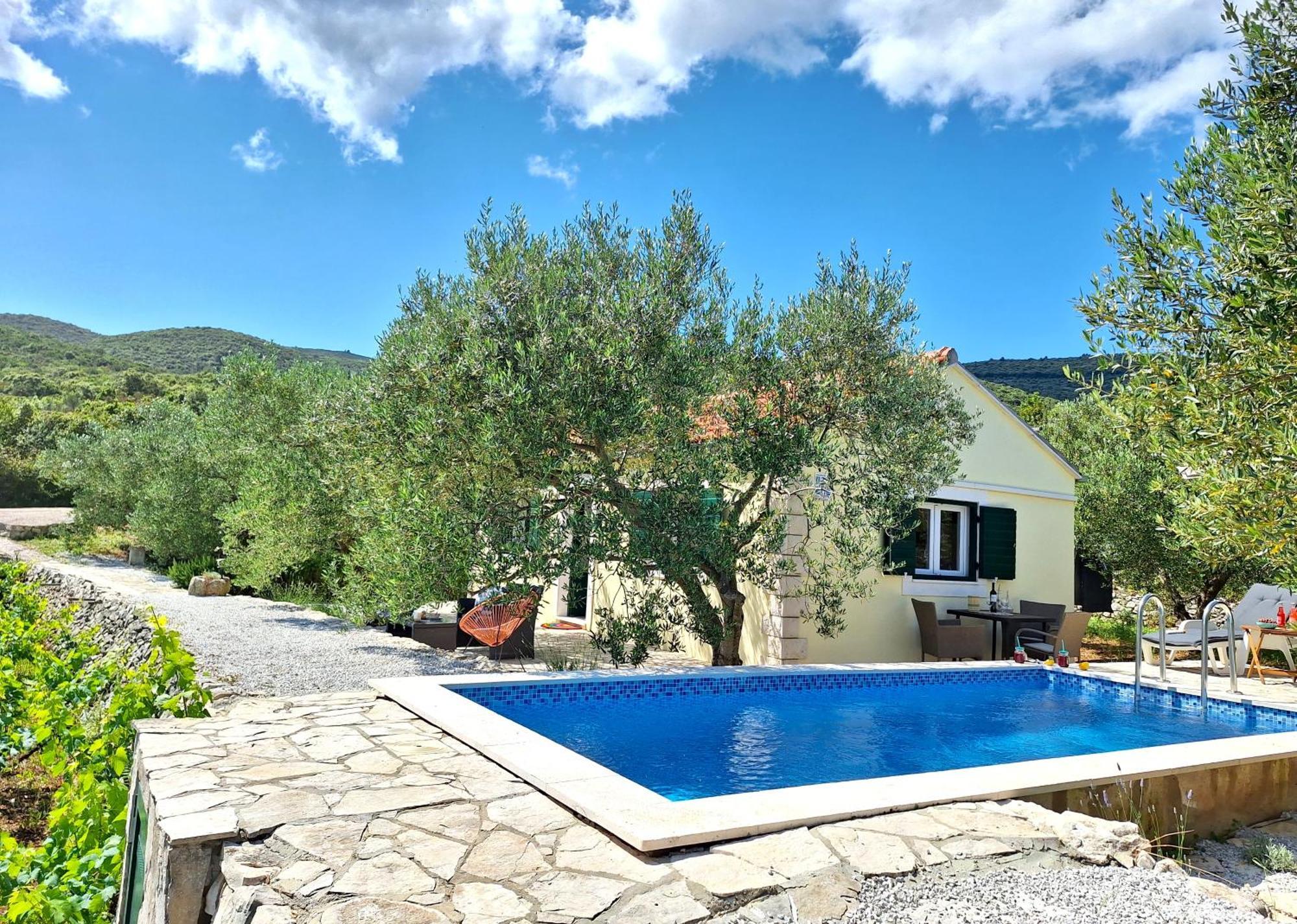 Вілла Vineyard House & Olive Grove House Рачище Екстер'єр фото