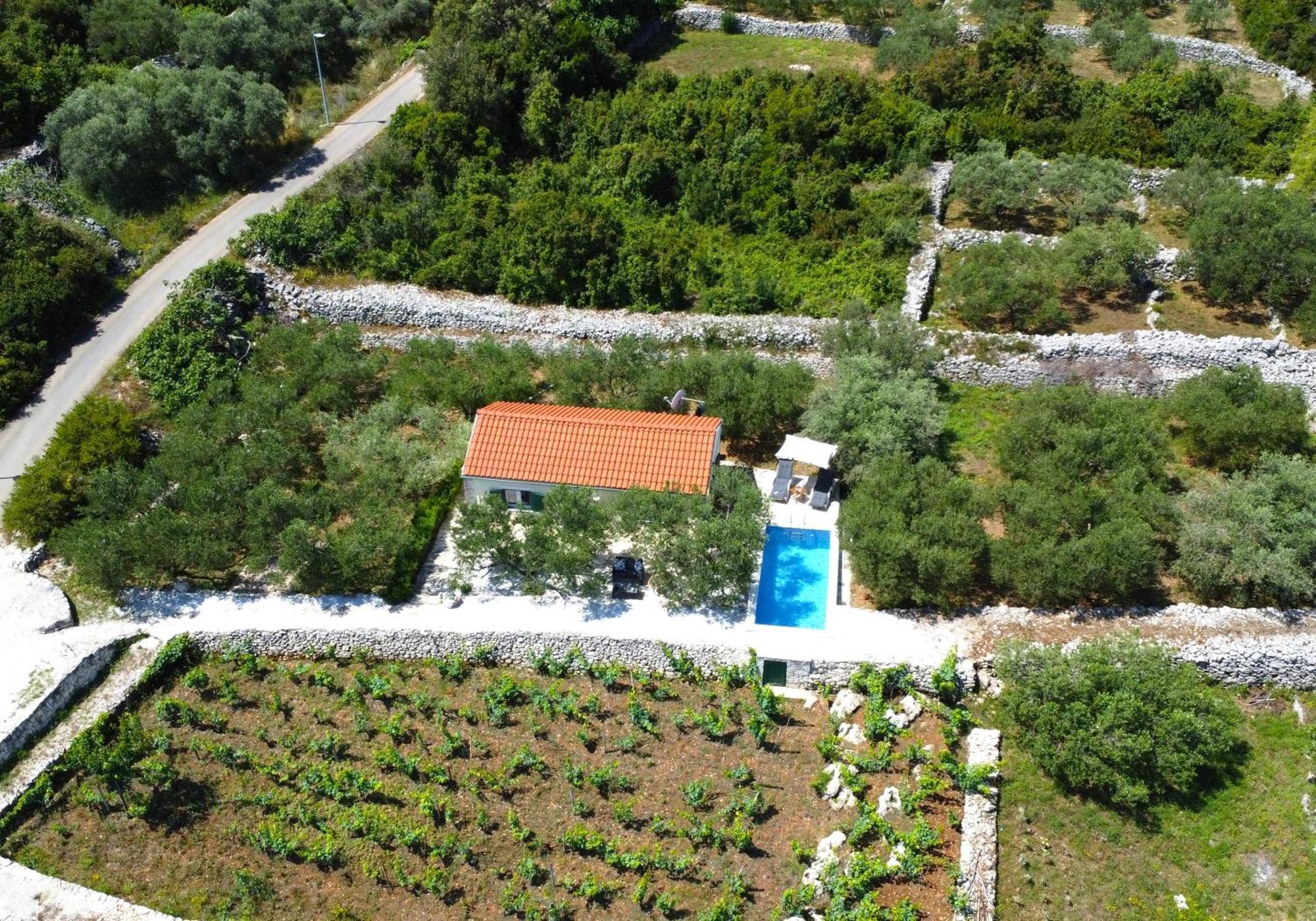 Вілла Vineyard House & Olive Grove House Рачище Екстер'єр фото