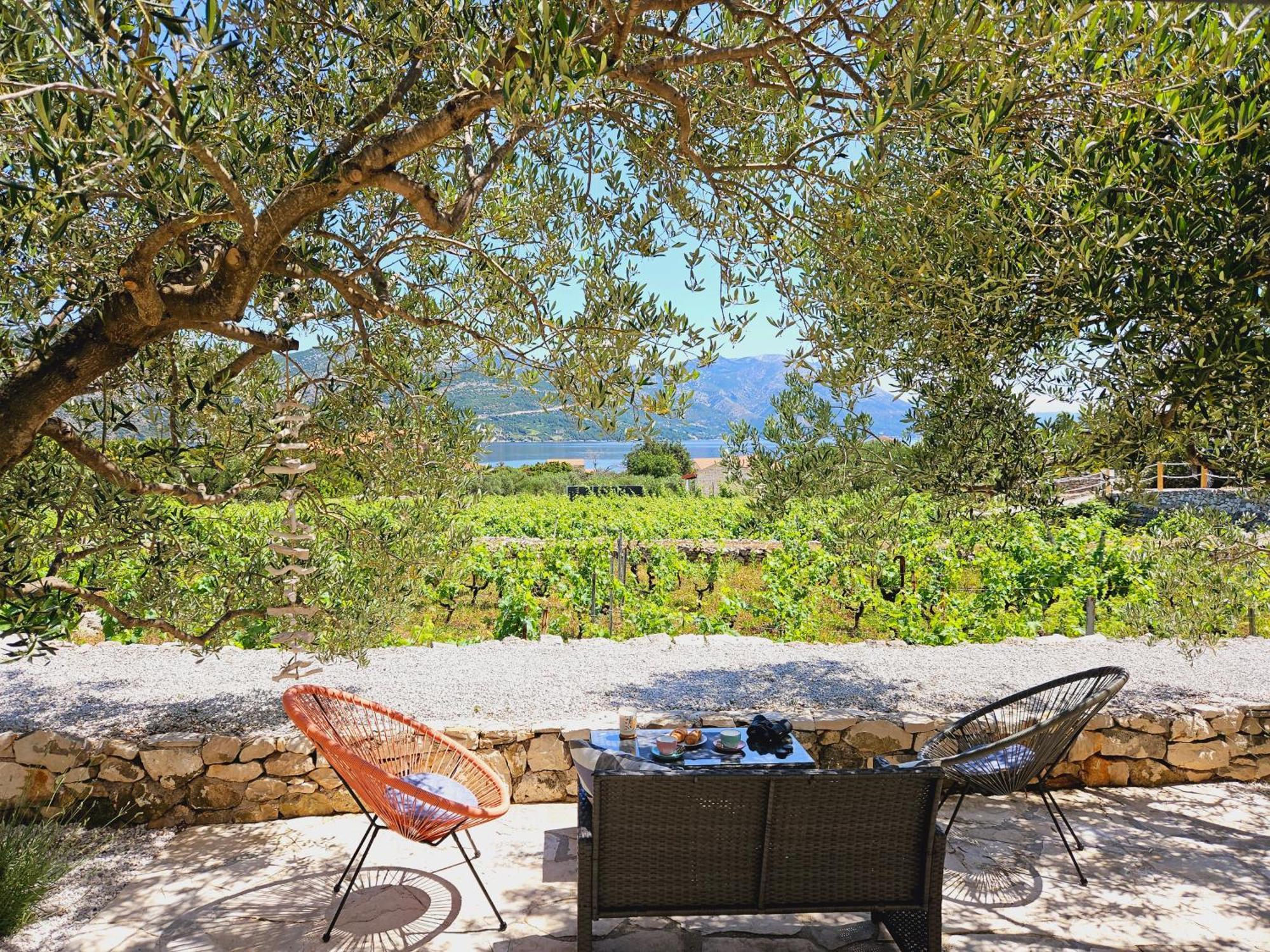 Вілла Vineyard House & Olive Grove House Рачище Екстер'єр фото