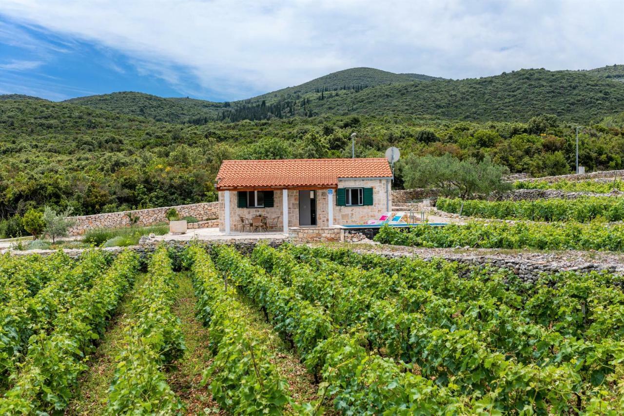 Вілла Vineyard House & Olive Grove House Рачище Екстер'єр фото