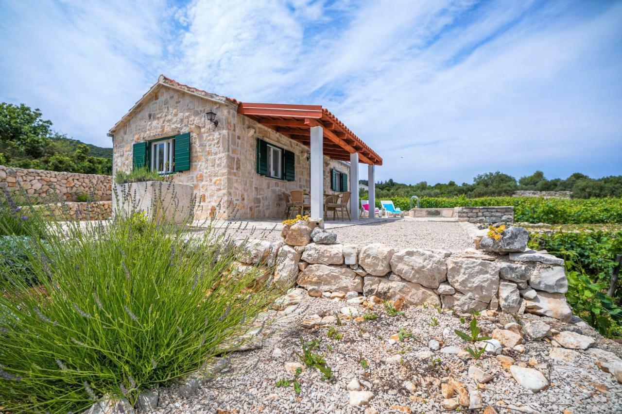 Вілла Vineyard House & Olive Grove House Рачище Екстер'єр фото
