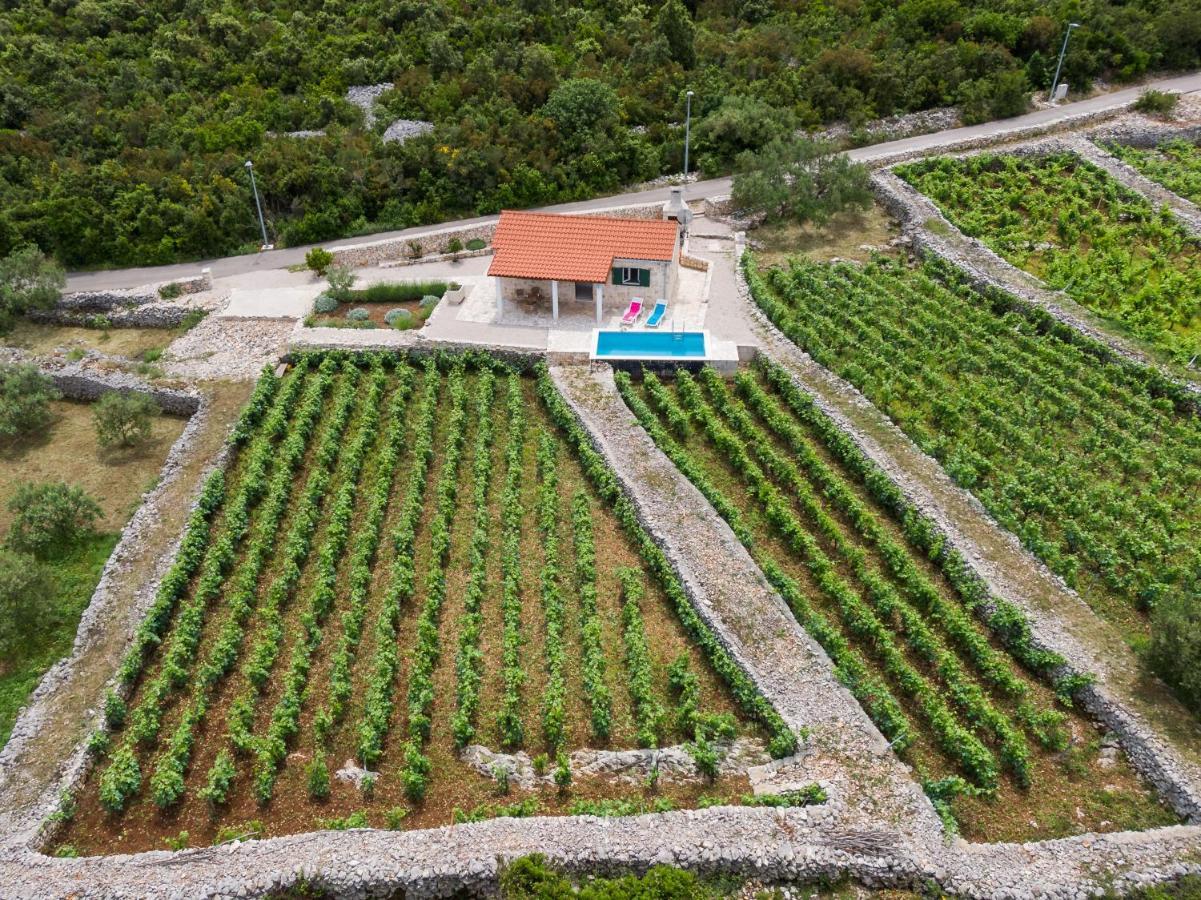 Вілла Vineyard House & Olive Grove House Рачище Екстер'єр фото