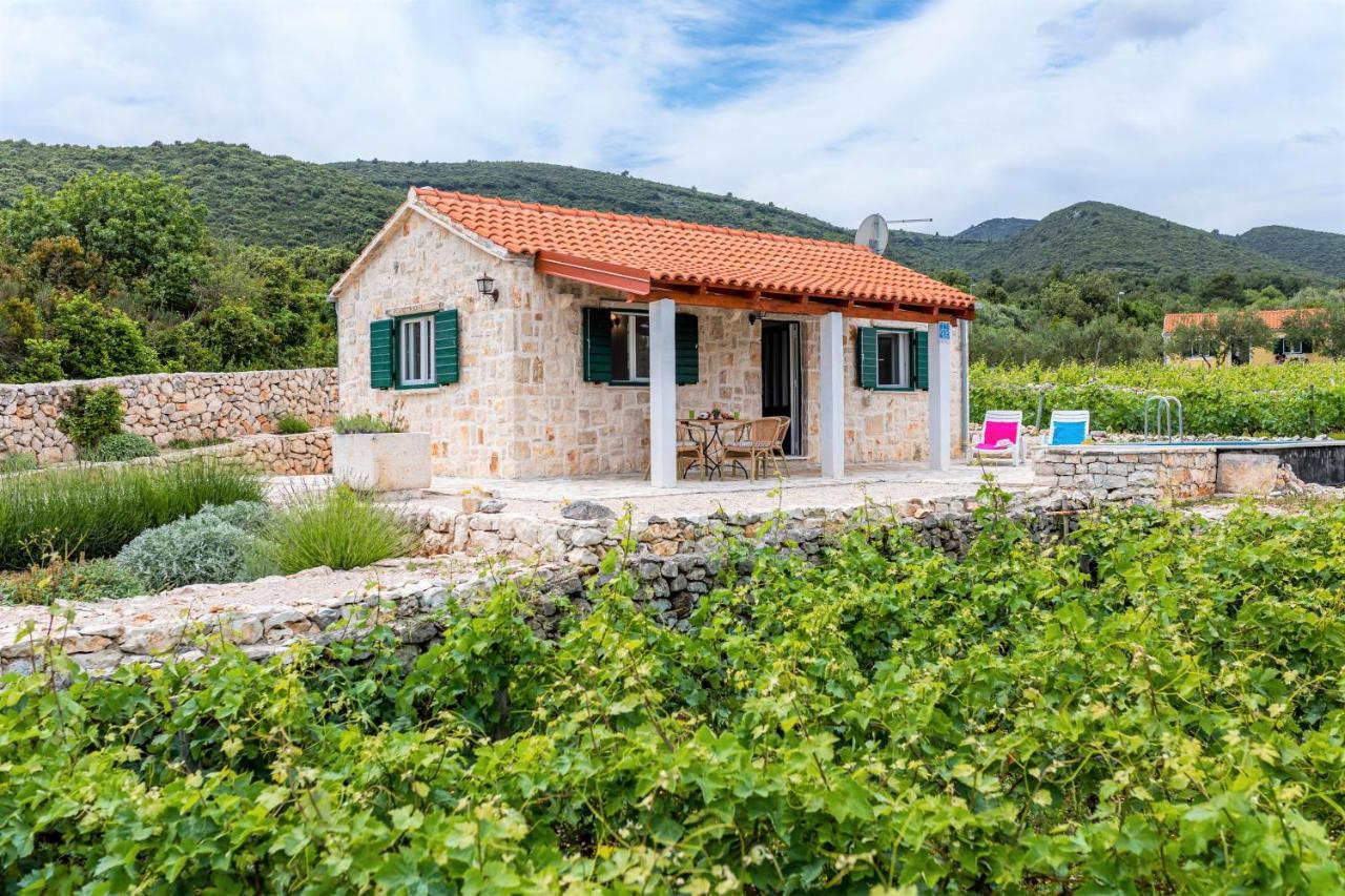 Вілла Vineyard House & Olive Grove House Рачище Екстер'єр фото