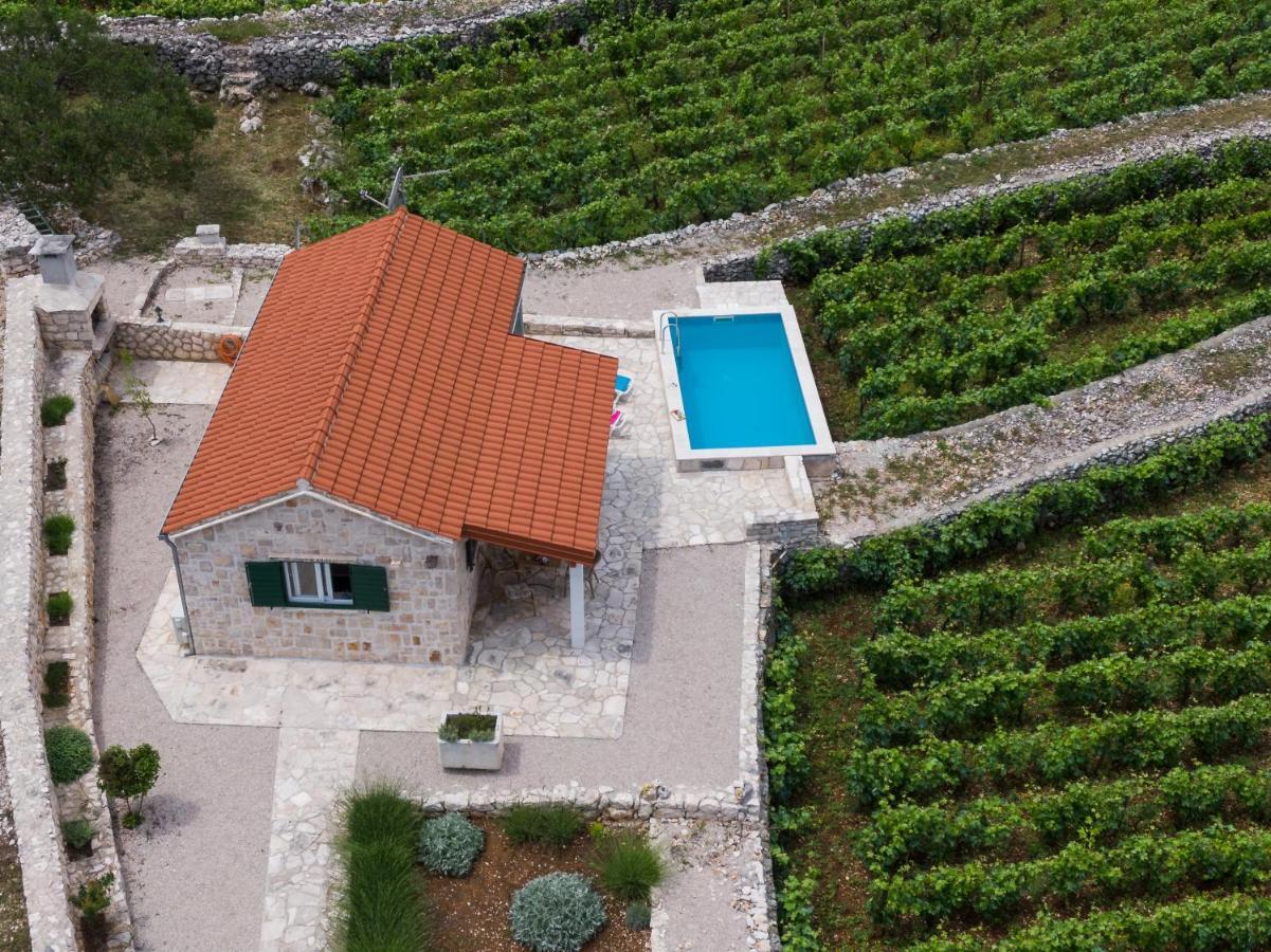 Вілла Vineyard House & Olive Grove House Рачище Екстер'єр фото