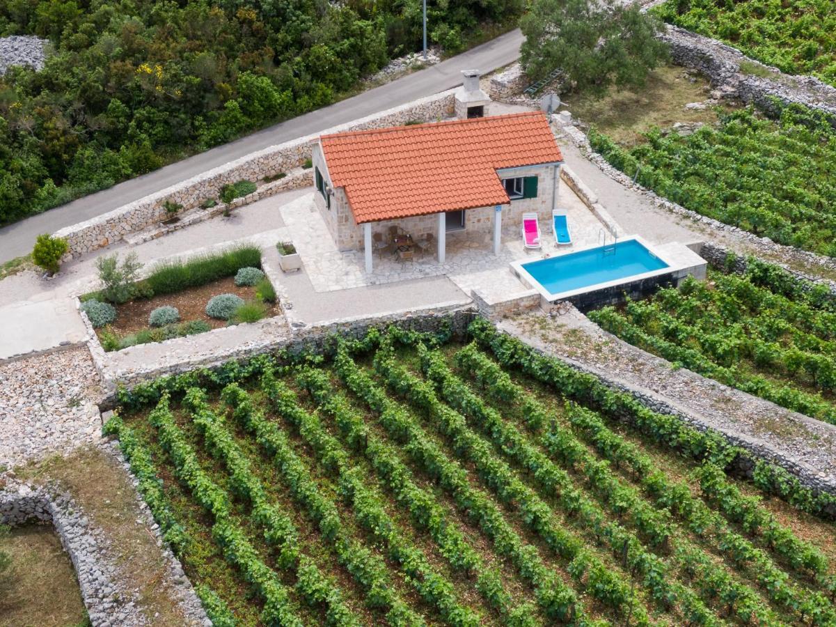 Вілла Vineyard House & Olive Grove House Рачище Екстер'єр фото