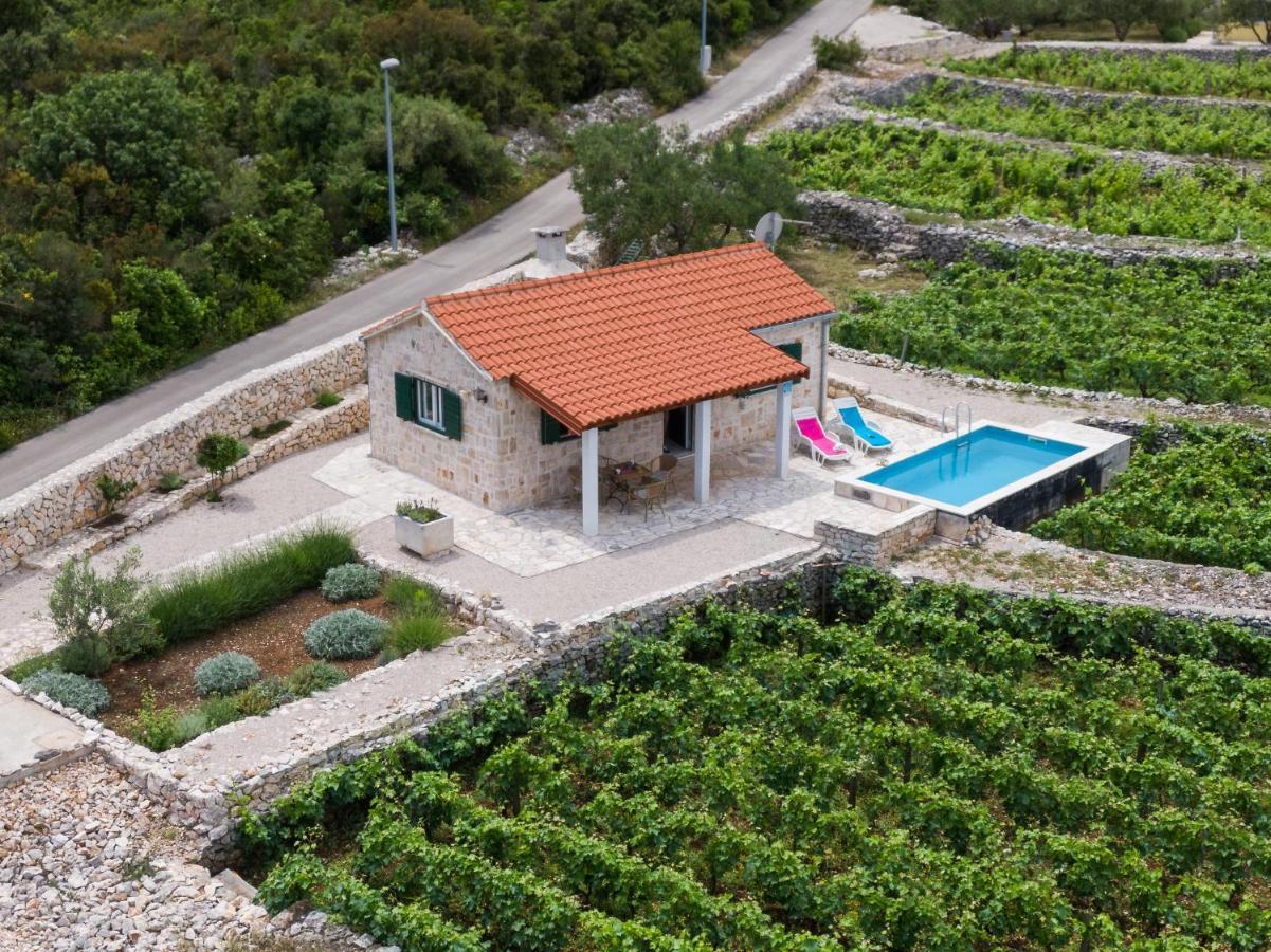 Вілла Vineyard House & Olive Grove House Рачище Екстер'єр фото